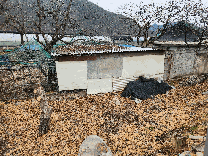물건 사진 12