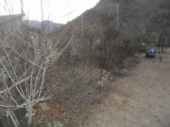물건 사진 15