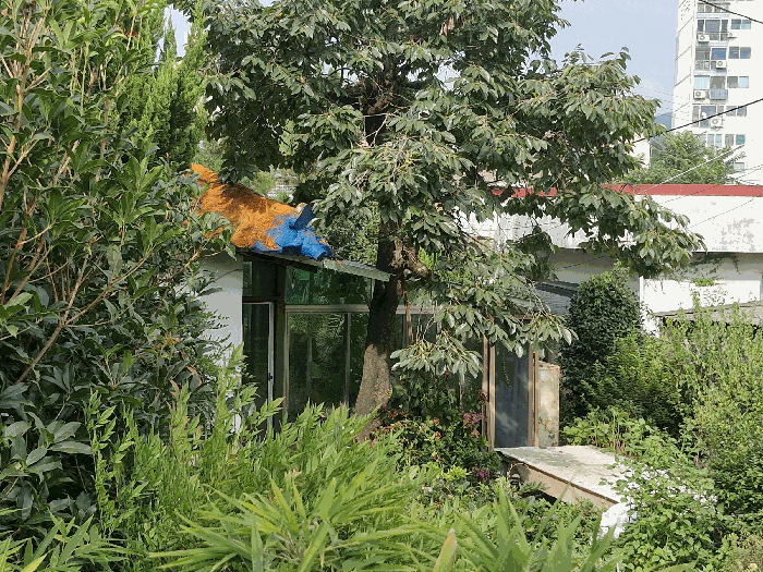 물건 사진 12