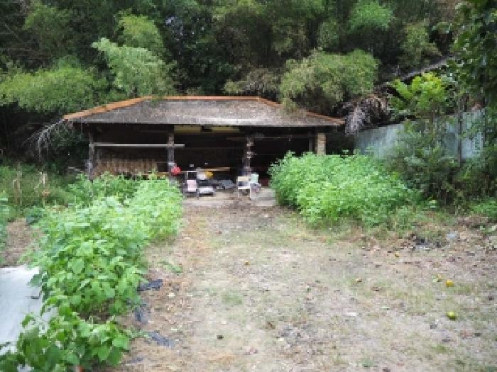 경상남도 창녕군 창녕읍 외부리 392 사진 1