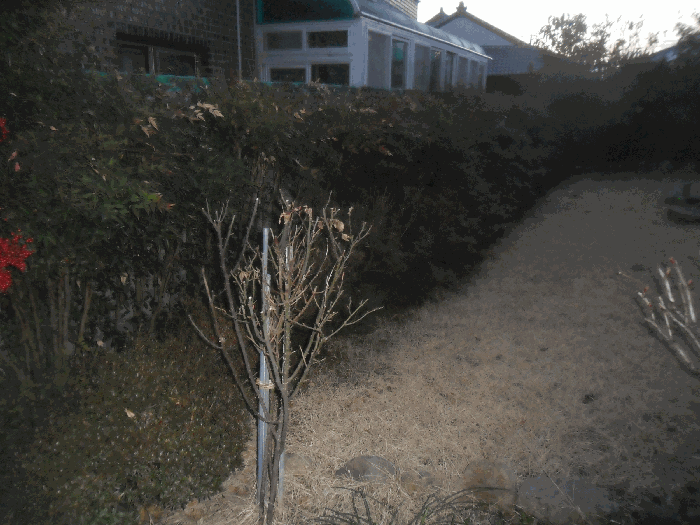 물건 사진 14