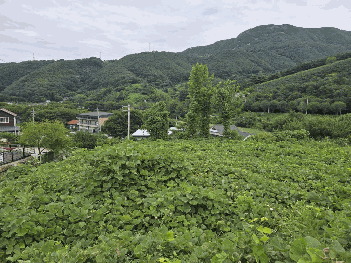 물건 사진 16