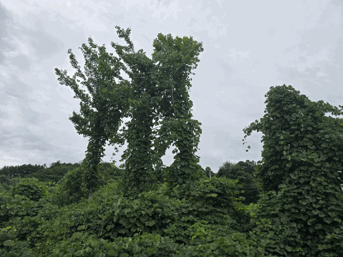 물건 사진 23
