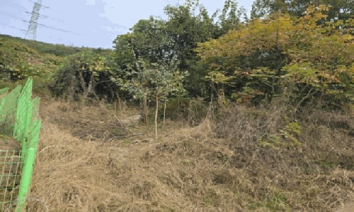 물건 사진 39