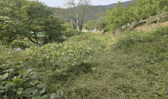 물건 사진 40