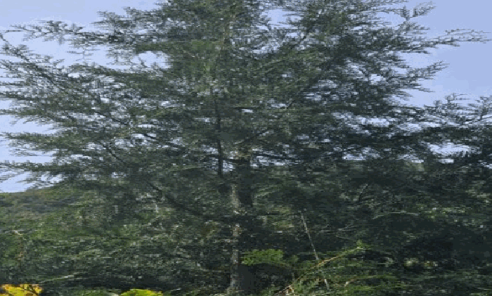 물건 사진 49
