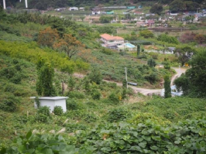 물건 사진 9