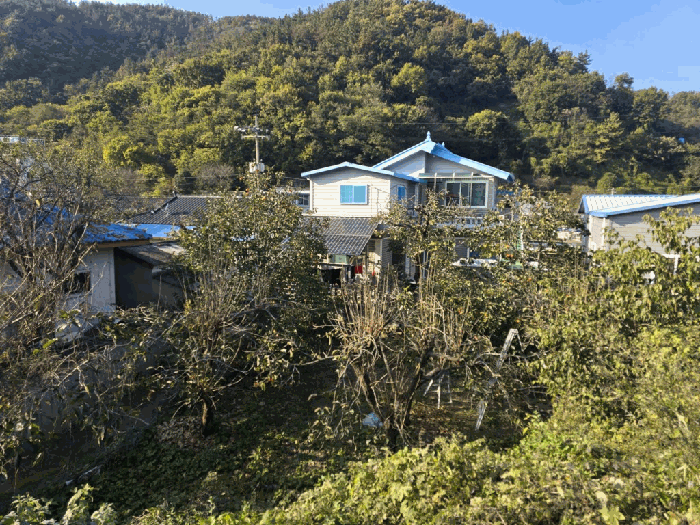 물건 사진 14