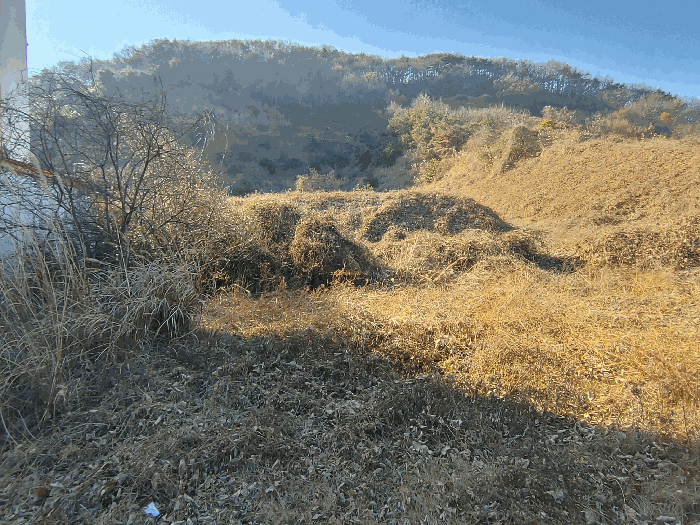 물건 사진 26