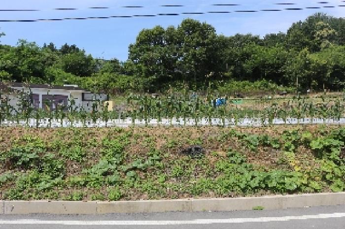 물건 사진 15