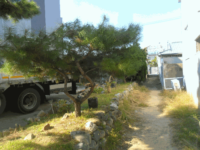 물건 사진 35