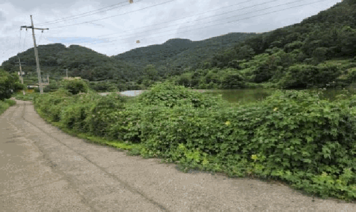 물건 사진 12
