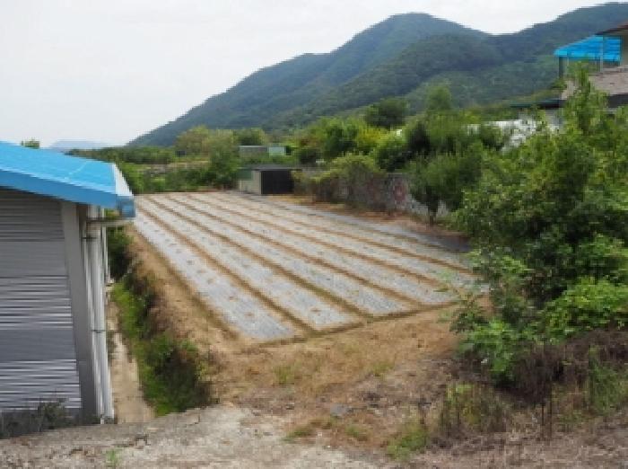 물건 사진 6