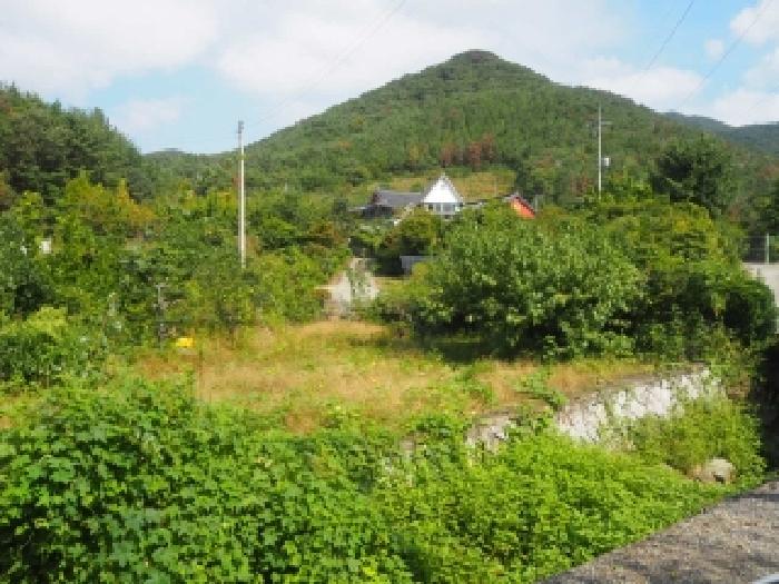 물건 사진 1
