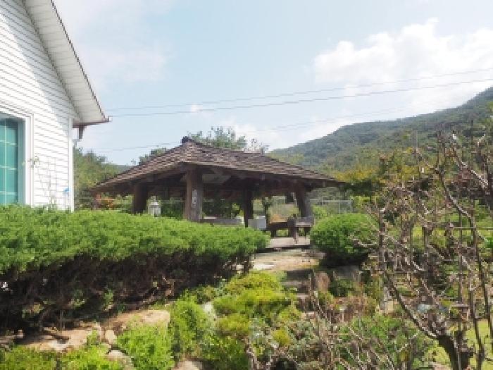 물건 사진 11