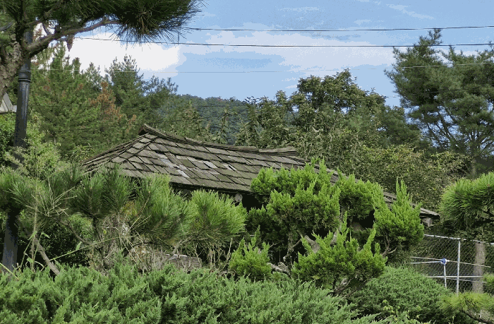 물건 사진 19