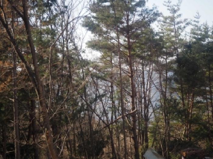 물건 사진 17
