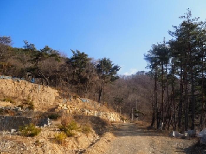 물건 사진 19