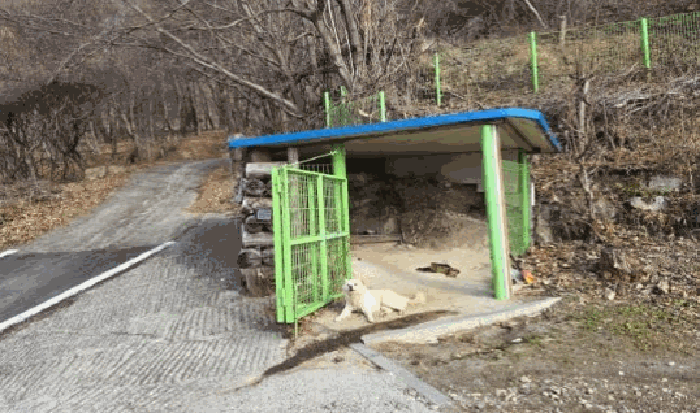물건 사진 46