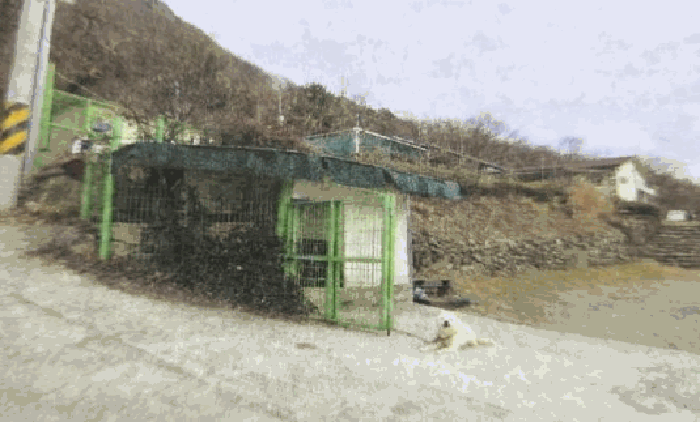 물건 사진 48