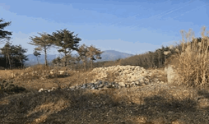 물건 사진 54