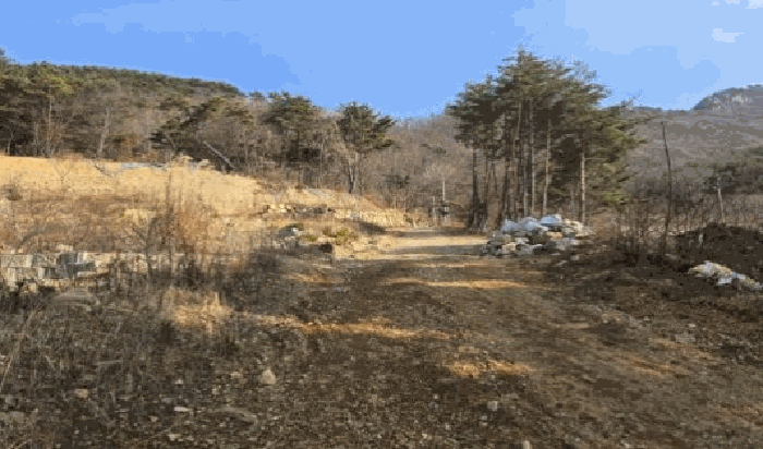 물건 사진 60