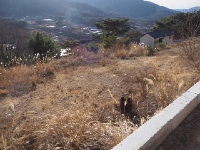 물건 사진 12