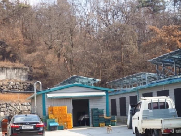 물건 사진 2
