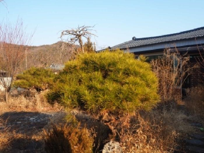 물건 사진 3