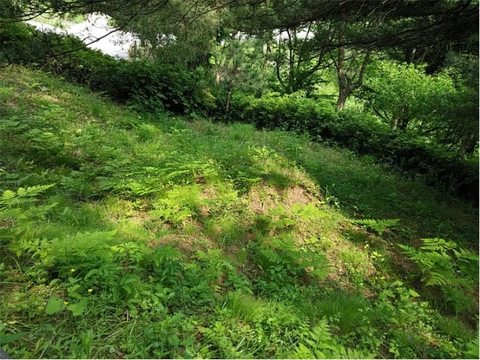 물건 사진 118
