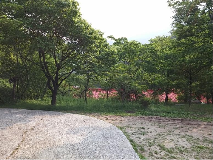 물건 사진 120