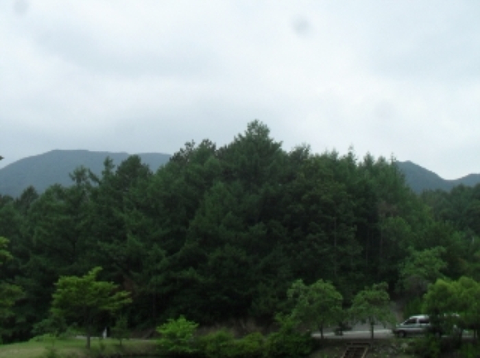 물건 사진 13
