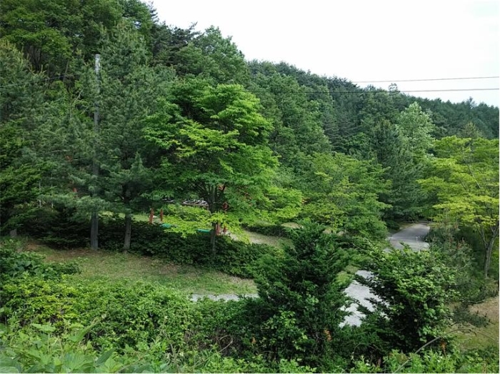 물건 사진 124