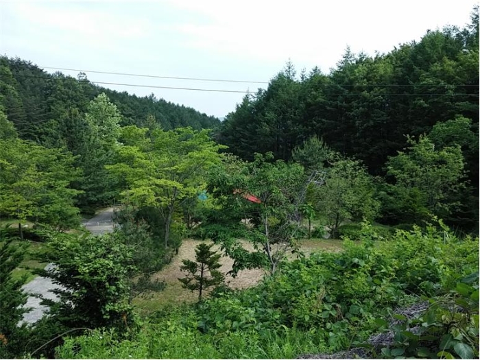 물건 사진 125