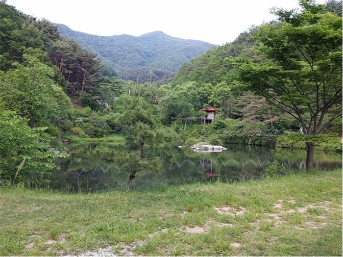 물건 사진 133