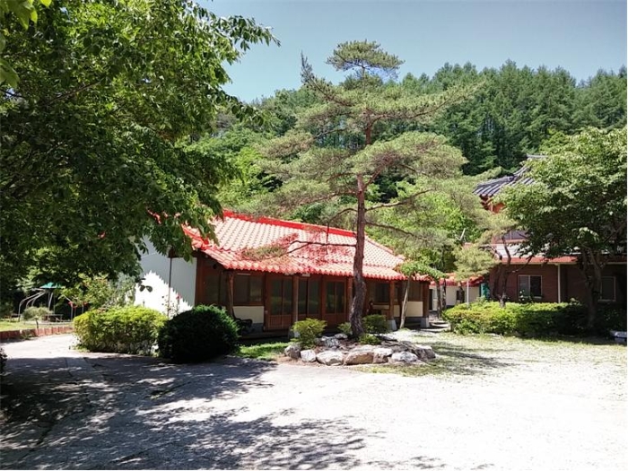 물건 사진 148