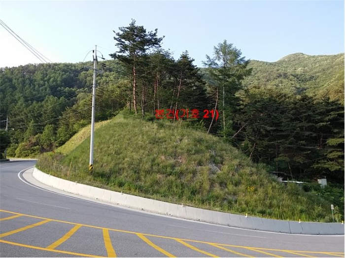 물건 사진 154
