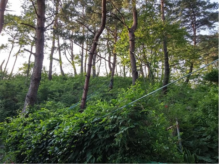물건 사진 155