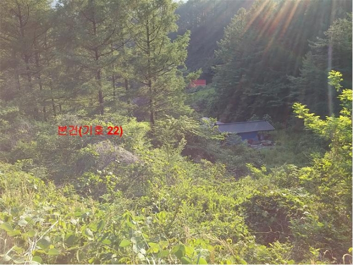 물건 사진 156