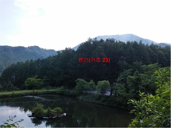 물건 사진 159