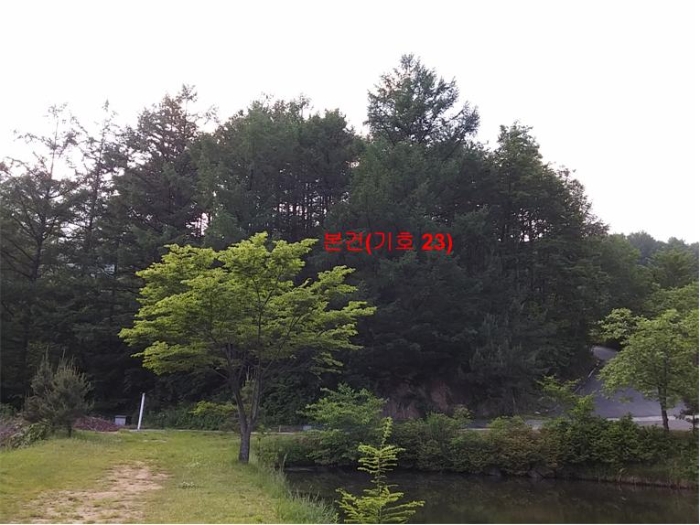 물건 사진 160