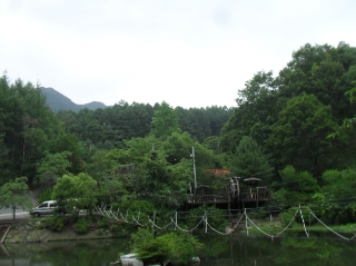 물건 사진 17
