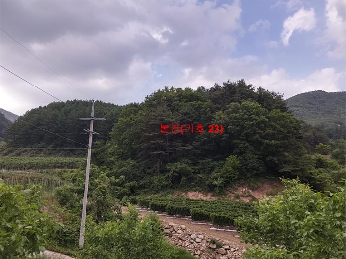 물건 사진 161