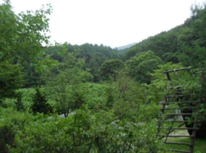 물건 사진 19