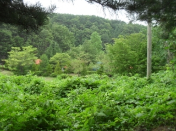 물건 사진 21