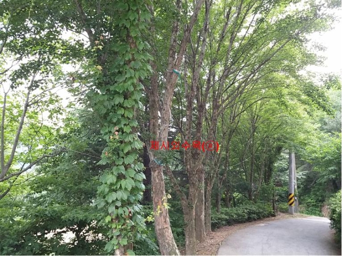 물건 사진 238