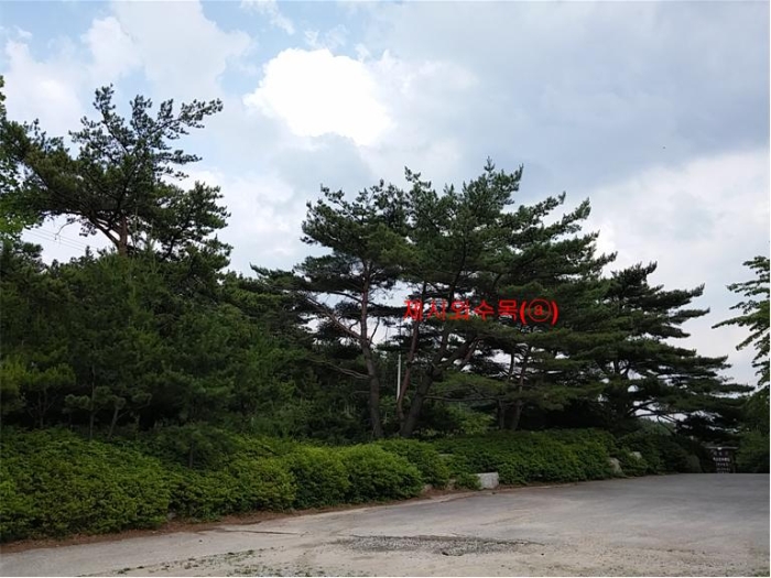 물건 사진 239