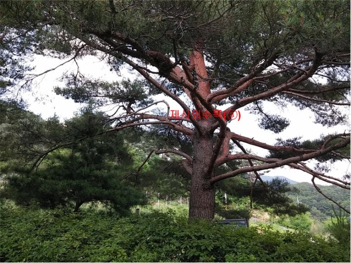 물건 사진 241