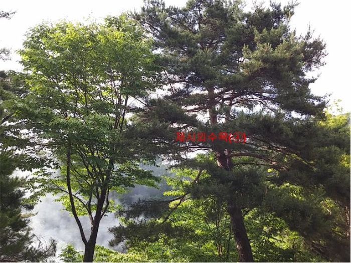 물건 사진 242