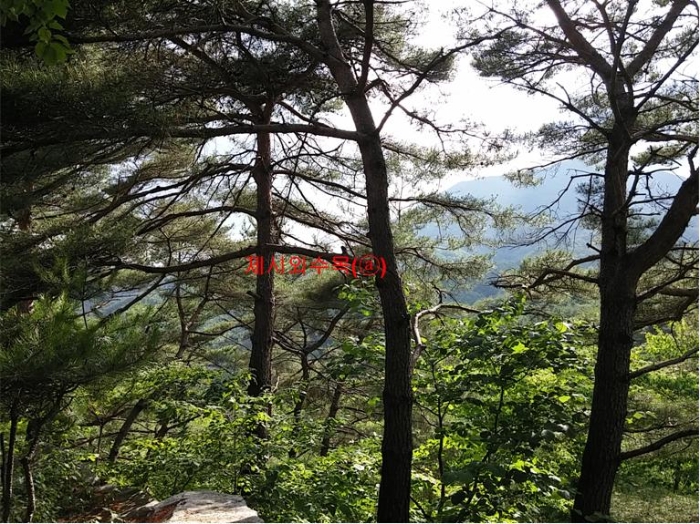 물건 사진 243